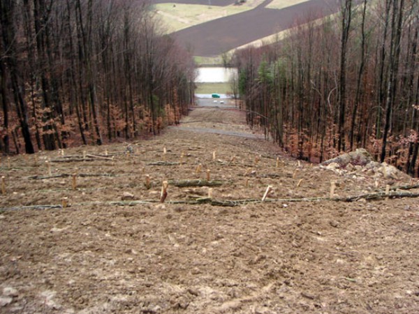 Gaspipeline_Schwarzwald