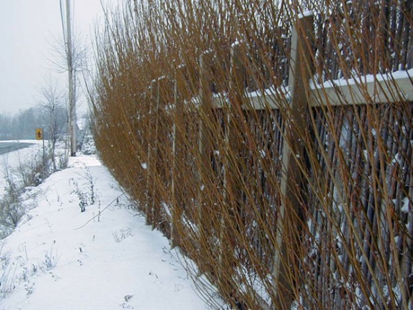 Laermschutzwand_im_Winter