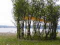 Weidenpavillion_Bodensee
